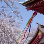「日本の文化にも定着」未来を見据えた家づくり